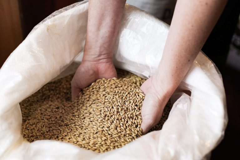 Orge maltée destinée à la microbrasserie de Bedondaine et Bedons ronds
