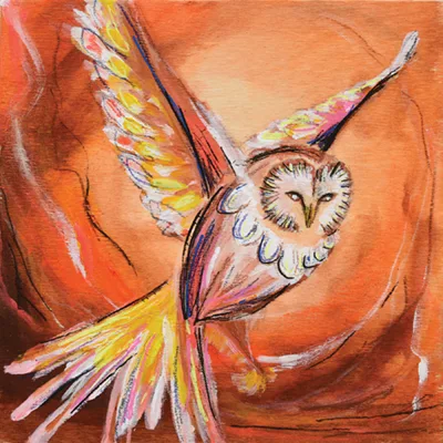 Chasse aux oeuvres 2025 - MRCVR