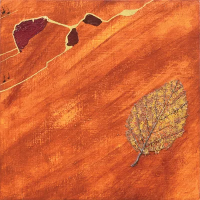 Chasse aux oeuvres 2025 - MRCVR