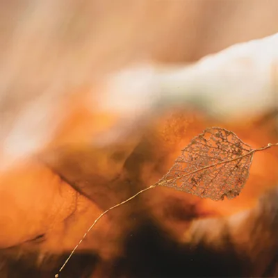 Chasse aux oeuvres 2025 - MRCVR