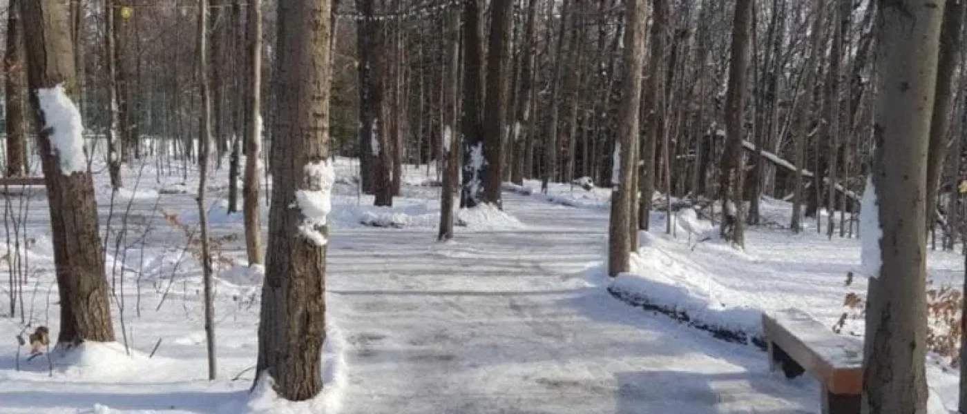 Sentier de glace du Parc Emond.